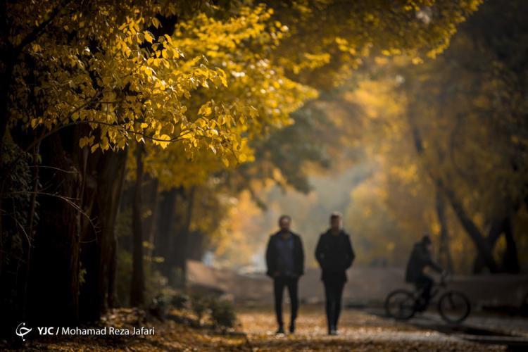 تصاویر پاییز در چهارباغ اصفهان,عکس های دیدنی از اصفهان,تصاویر خیابان های اصفهان