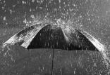 بارش برف و باران در نوار غربی,اخبار اجتماعی,خبرهای اجتماعی,وضعیت ترافیک و آب و هوا