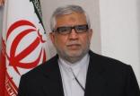 محسن پاک‌آیین,اخبار سیاسی,خبرهای سیاسی,سیاست خارجی