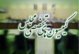 کمیسیون‌های تخصصی مجلس شورای اسلامی,اخبار سیاسی,خبرهای سیاسی,مجلس