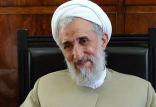 حجت الاسلام کاظم صدیقی,اخبار سیاسی,خبرهای سیاسی,اخبار سیاسی ایران