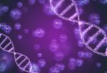 ژنتیک,اخبار پزشکی,خبرهای پزشکی,بهداشت