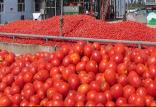 گوجه فرنگی,اخبار اقتصادی,خبرهای اقتصادی,اصناف و قیمت