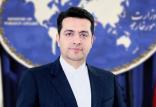 سید عباس موسوی,اخبار سیاسی,خبرهای سیاسی,سیاست خارجی
