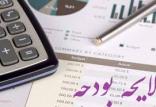 افزایش بودجه شرکت‌های دولتی,اخبار اقتصادی,خبرهای اقتصادی,اقتصاد کلان
