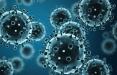 فوتی های ناشی از بیماری آنفلوآنزا,اخبار پزشکی,خبرهای پزشکی,بهداشت