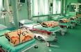 مرگ 12 نفر بر اثر آنفولانزا در گلستان,اخبار پزشکی,خبرهای پزشکی,بهداشت