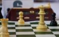 لیگ شطرنج,اخبار ورزشی,خبرهای ورزشی,ورزش