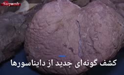فیلم/ گونه جدیدی از دایناسورها در آرژانتین کشف شد