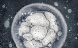 تصاویر حباب های یخ زده متان در آلاسکا‎,عکس های حباب های یخ زده متان در آلاسکا‎,تصاویر دریاچه های یخ زده آلاسکا