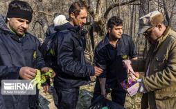 تصاویر جنگل گلستان,عکس های پاکسازی جنگل گلستان,تصاویر جنگل استان گلستان