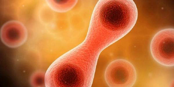 روش درمان ناباروری زنان,اخبار پزشکی,خبرهای پزشکی,بهداشت