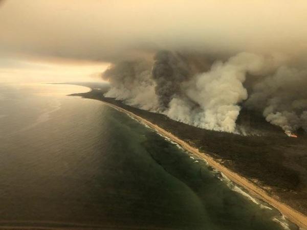 آتش سوزی در استرالیا,اخبار اجتماعی,خبرهای اجتماعی,محیط زیست