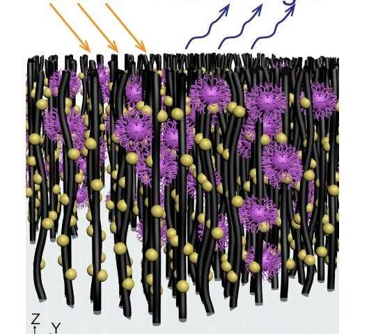 دستگاه VIRRION,اخبار پزشکی,خبرهای پزشکی,تازه های پزشکی
