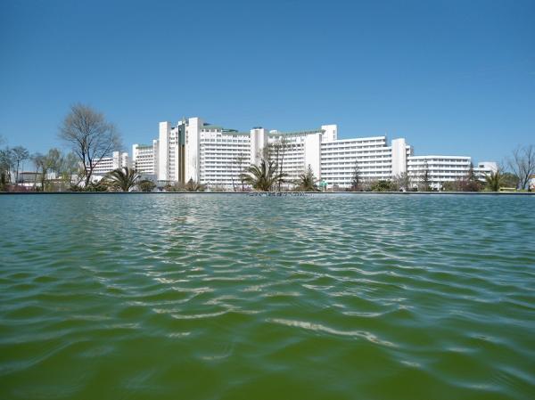 حسن روحانی,اخبار سیاسی,خبرهای سیاسی,دولت