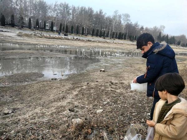 زاینده‌رود,اخبار اقتصادی,خبرهای اقتصادی,نفت و انرژی