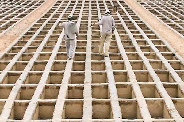 ازدواج و طلاق,اخبار اجتماعی,خبرهای اجتماعی,خانواده و جوانان