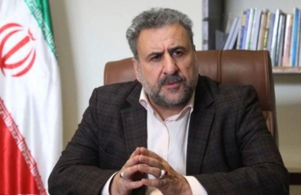 حشمت‌الله فلاحت پیشه,اخبار سیاسی,خبرهای سیاسی,سیاست خارجی