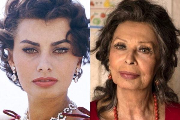 سوفیا لورن,اخبار فیلم و سینما,خبرهای فیلم و سینما,اخبار سینمای جهان