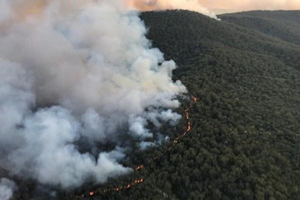 آتش‌سوزی در استرالیا,اخبار اجتماعی,خبرهای اجتماعی,محیط زیست