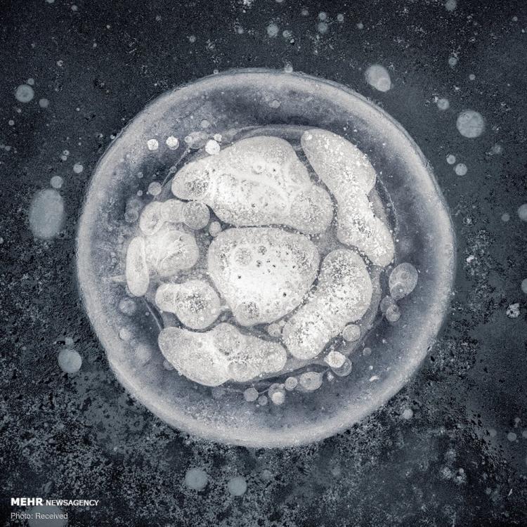 تصاویر حباب های یخ زده متان در آلاسکا تصاویر حباب های یخ زده متان در آلاسکا,عکس های حباب های یخ زده متان در آلاسکا,تصاویر دریاچه های یخ زده آلاسکا