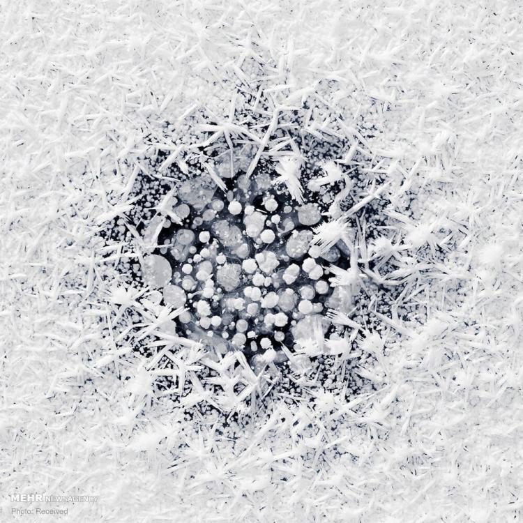 تصاویر حباب های یخ زده متان در آلاسکا تصاویر حباب های یخ زده متان در آلاسکا,عکس های حباب های یخ زده متان در آلاسکا,تصاویر دریاچه های یخ زده آلاسکا