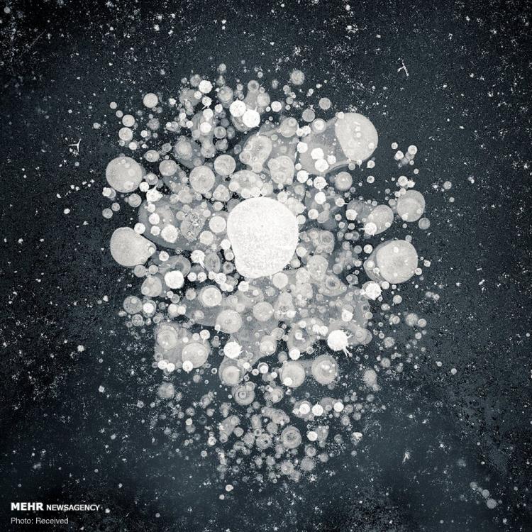 تصاویر حباب های یخ زده متان در آلاسکا تصاویر حباب های یخ زده متان در آلاسکا,عکس های حباب های یخ زده متان در آلاسکا,تصاویر دریاچه های یخ زده آلاسکا