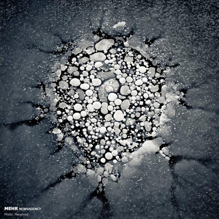 تصاویر حباب های یخ زده متان در آلاسکا تصاویر حباب های یخ زده متان در آلاسکا,عکس های حباب های یخ زده متان در آلاسکا,تصاویر دریاچه های یخ زده آلاسکا