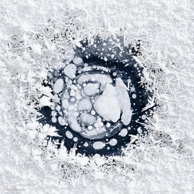 تصاویر حباب های یخ زده متان در آلاسکا تصاویر حباب های یخ زده متان در آلاسکا,عکس های حباب های یخ زده متان در آلاسکا,تصاویر دریاچه های یخ زده آلاسکا