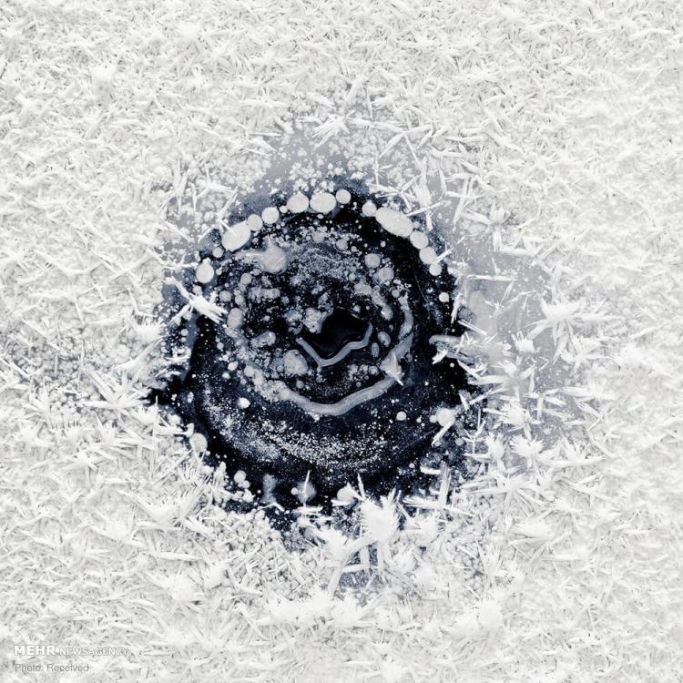 تصاویر حباب های یخ زده متان در آلاسکا تصاویر حباب های یخ زده متان در آلاسکا,عکس های حباب های یخ زده متان در آلاسکا,تصاویر دریاچه های یخ زده آلاسکا