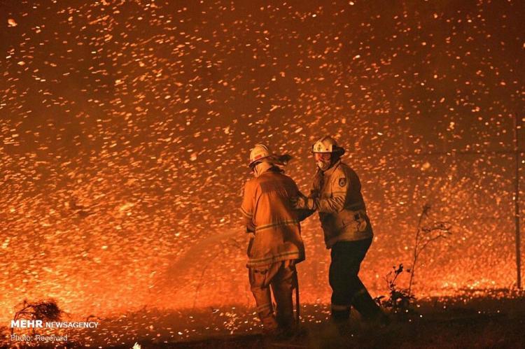 تصاویر آتش سوزی در استرالیا,عکس های آتش سوزی در استرالیا,تصاویر خسارات آتش سوزی در استرالیا