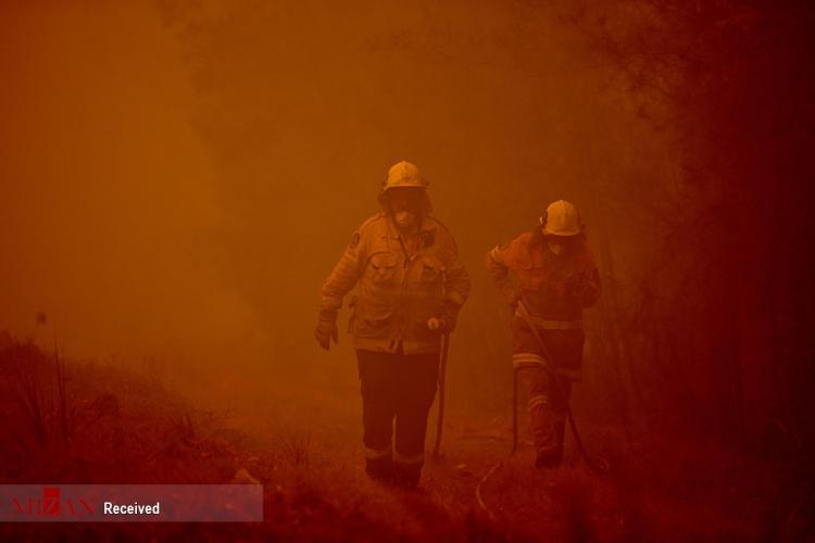 تصاویر آتش سوزی در استرالیا,عکس های جنگل های استرالیا,تصاویر خسارات ناشی از آتش سوزی استرالیا