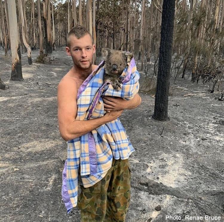 تصاویر صحنه‌های دردناک سوختن کانگروها,عکس های آتش سوزی در جنگل های استرالیا,تصاویر جنگل های استرالیا