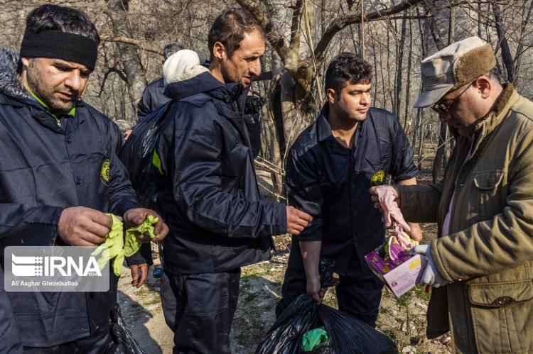 تصاویر جنگل گلستان تصاویر جنگل گلستان,عکس های پاکسازی جنگل گلستان,تصاویر جنگل استان گلستان