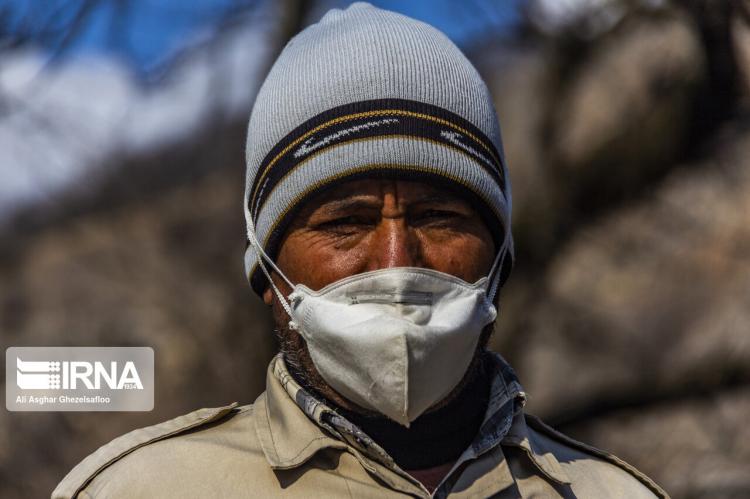 تصاویر جنگل گلستان تصاویر جنگل گلستان,عکس های پاکسازی جنگل گلستان,تصاویر جنگل استان گلستان