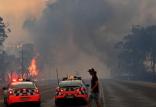 آتش‌سوزی جنگل استرالیا,اخبار اجتماعی,خبرهای اجتماعی,محیط زیست