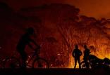 آتش‌سوزی استرالیا,اخبار اجتماعی,خبرهای اجتماعی,محیط زیست