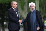 دیدار حسن روحانی و رجب طیب اردوغان,اخبار سیاسی,خبرهای سیاسی,سیاست خارجی