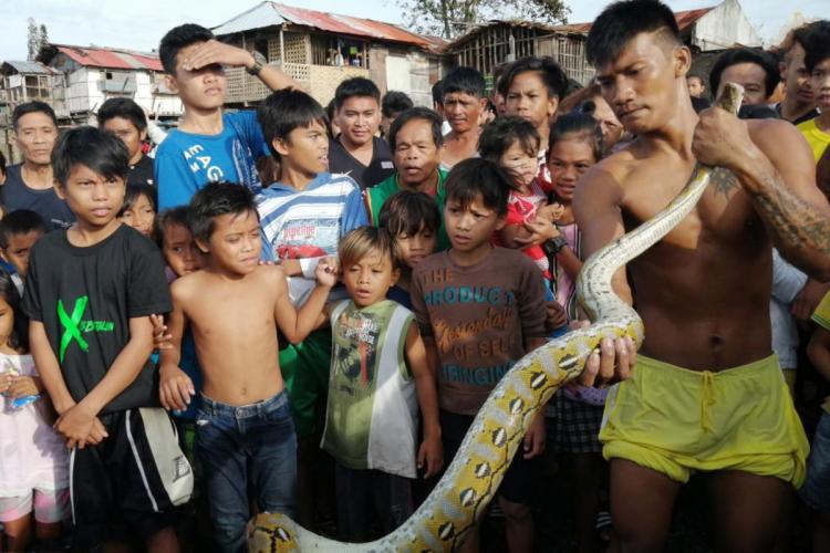 تصاویر وقوع طوفان در شب کریسمس در فیلیپین,عکس های وقوع طوفان در شب کریسمس در فیلیپین,تصاویر میلاد کریسمس