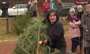 فیلم/ مسابقه جهانی پرتاب درخت کریسمس در آلمان