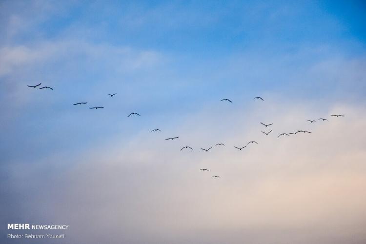 تصاویر قشم در فصل زمستان تصاویر قشم در فصل زمستان,عکس های قشم در فصل زمستان,تصاویر جاذبه های گردشگری ایران