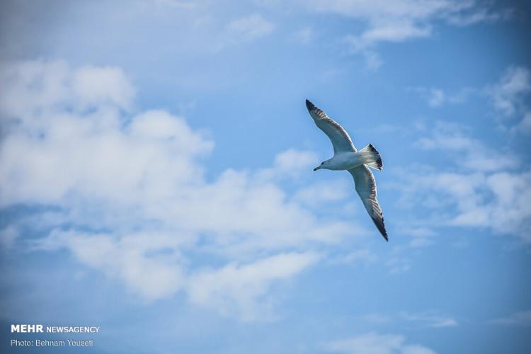 تصاویر قشم در فصل زمستان تصاویر قشم در فصل زمستان,عکس های قشم در فصل زمستان,تصاویر جاذبه های گردشگری ایران
