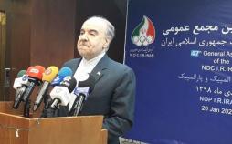 سلطانیفر: پروازهای خارجی ما بدون هیچ مشکلی در جریان است/ در فرانسه همه مسابقات باید تعطیل شود مسعود سلطانیفر,اخبار ورزشی,خبرهای ورزشی, مدیریت ورزش