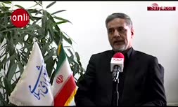 فیلم/ نقوی حسینی: مگر کفتربازی بوده که می‌گویید خطای انسانی است!