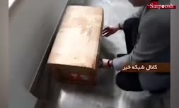 باز شدن جعبه سیاه هواپیمای اوکراین + انتشار فیلم جدید از آتش گرفتن هواپیما