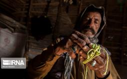 تصاویر طب سنتی در جنوب کرمان,عکس های جنوب کرمان,تصاویر شرایط جنوب کرمان