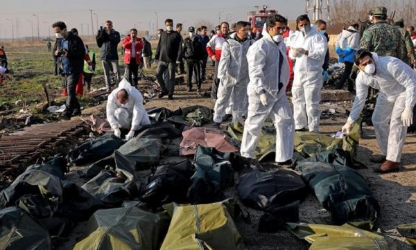 سانحه هواپیمای اوکراینی در تهران,اخبار سیاسی,خبرهای سیاسی,سیاست خارجی