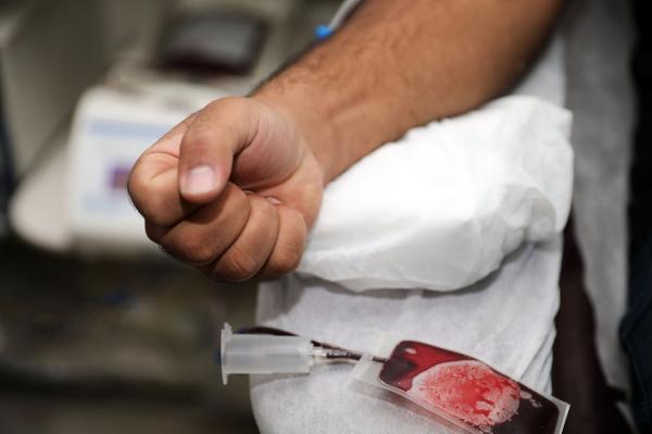 نقش پلاکت در انعقاد خون نقش پلاکت در انعقاد خون,اخبار پزشکی,خبرهای پزشکی,بهداشت