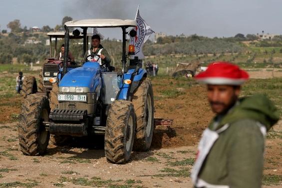 بذرپاشی کشاورزان غزه بذرپاشی کشاورزان غزه,اخبار سیاسی,خبرهای سیاسی,خاورمیانه