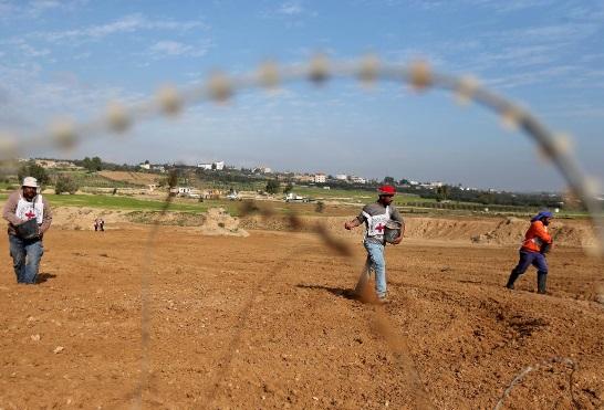 بذرپاشی کشاورزان غزه,اخبار سیاسی,خبرهای سیاسی,خاورمیانه